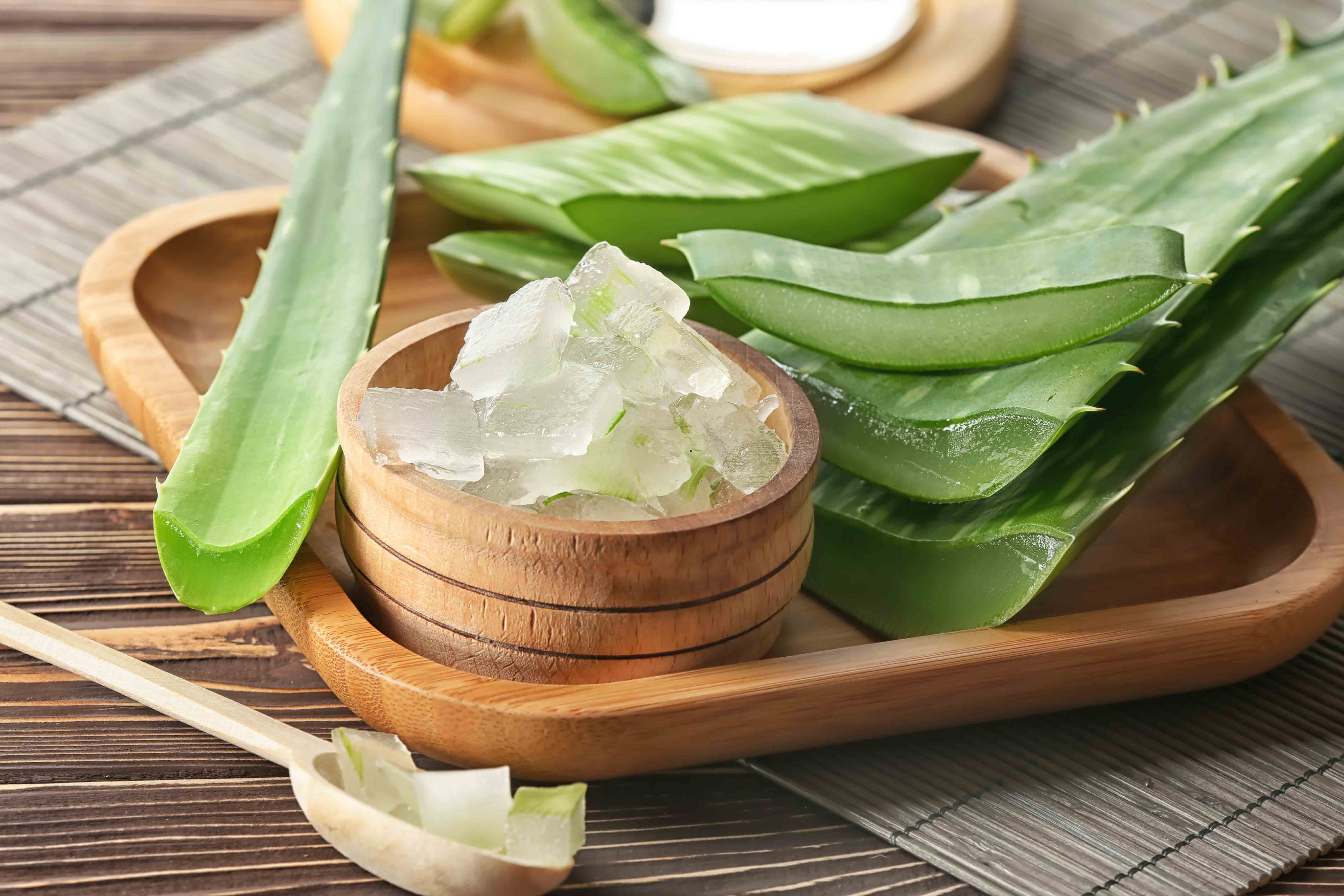 Kenalan Yuk dengan Manfaat Lidah Buaya untuk Kesehatan Kulit! 